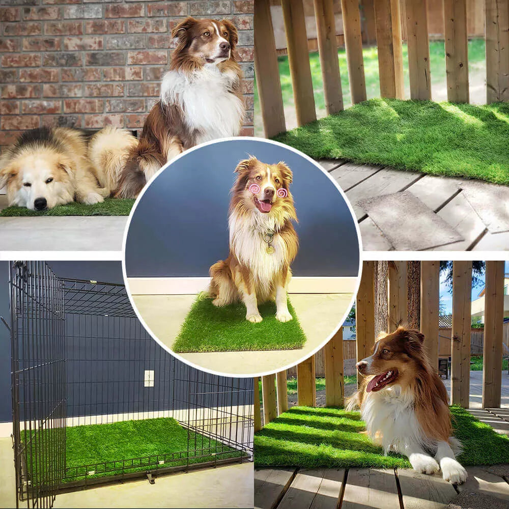 Alfombrilla de césped para perros de alta calidad para interiores y exteriores con protección contra fugas para comodidad y conveniencia