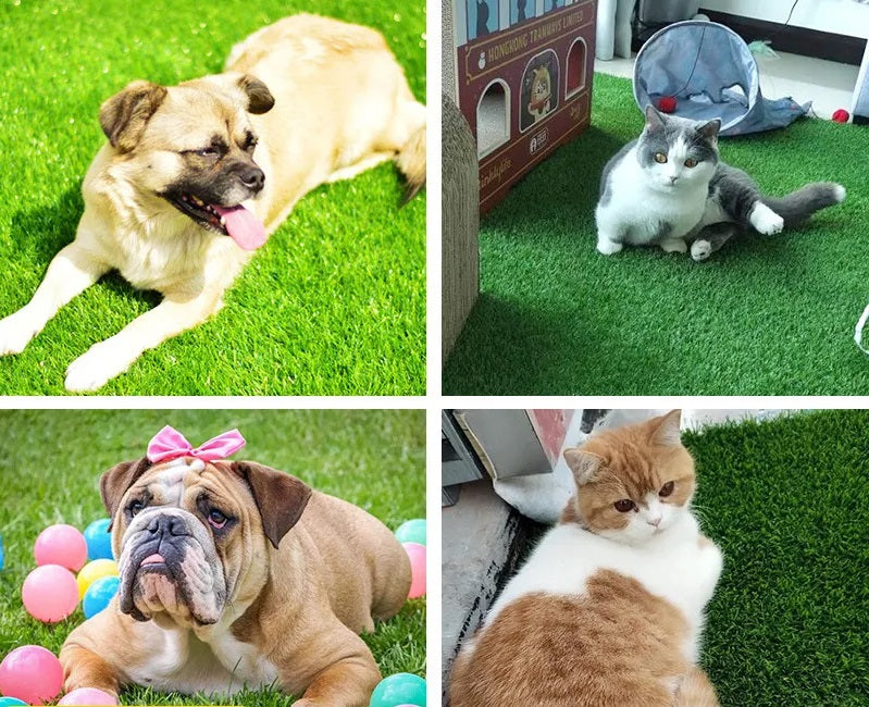 Alfombrilla de césped para perros de alta calidad para interiores y exteriores con protección contra fugas para comodidad y conveniencia