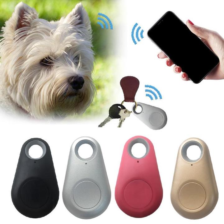 Rastreador GPS compacto y fiable para mascotas