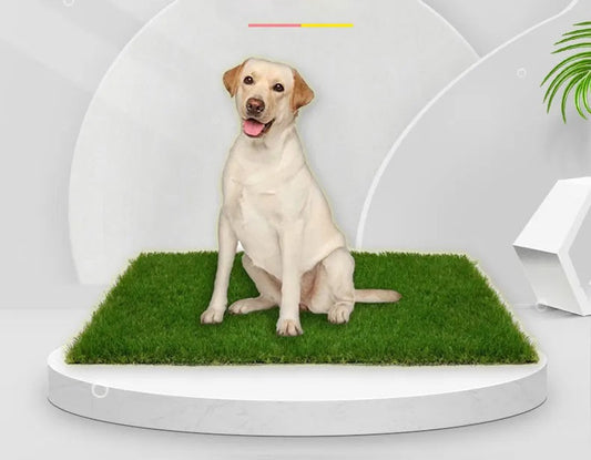 Alfombrilla de césped para perros de alta calidad para interiores y exteriores con protección contra fugas para comodidad y conveniencia