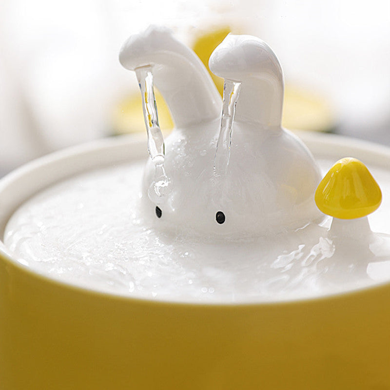 Dispensador de agua elegante para un conejo sano y feliz