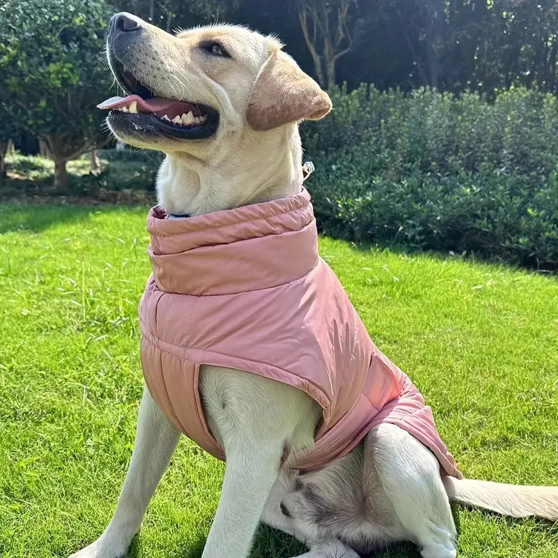 Protección óptima para pies de mascotas para máxima comodidad y seguridad