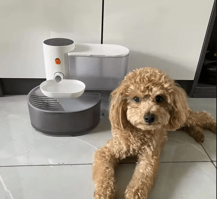 PetFresh | Fuente de agua inalámbrica de 1.8L para un disfrute fácil y saludable al beber