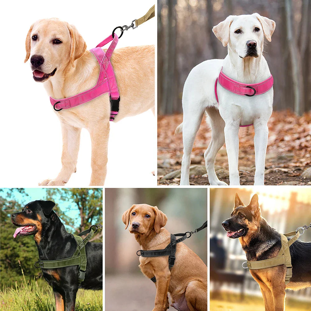 Arnés de entrenamiento cómodo de nailon para perros pequeños y medianos