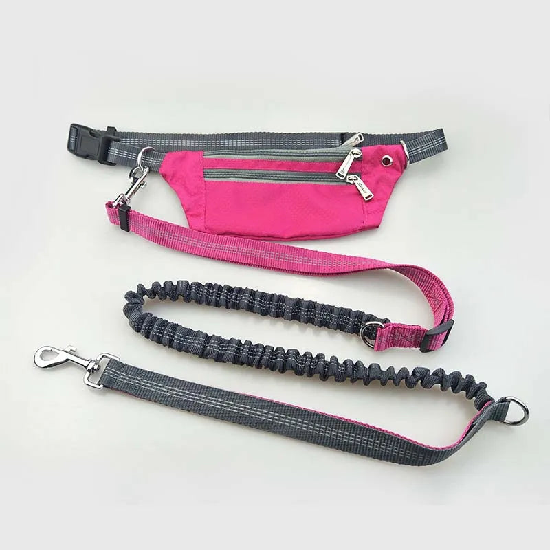 Correa cómoda para correr para perros