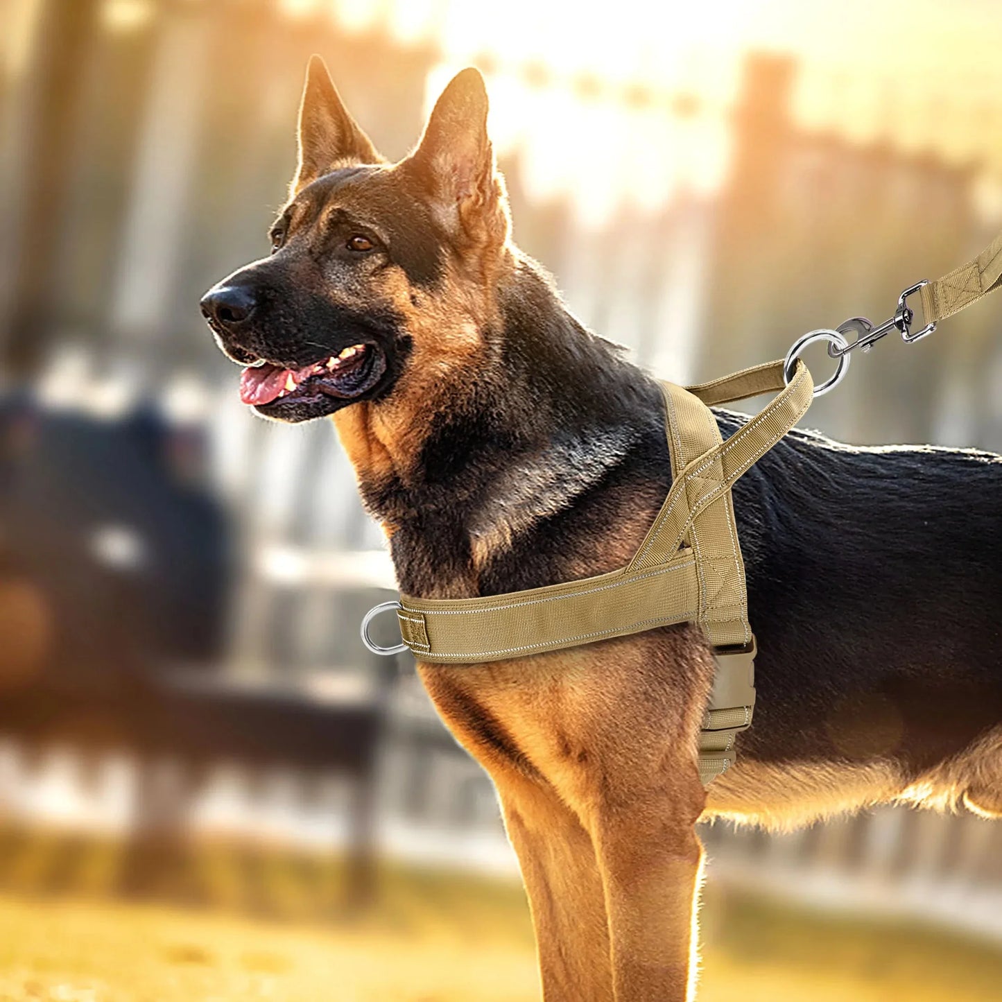 Arnés de entrenamiento cómodo de nailon para perros pequeños y medianos