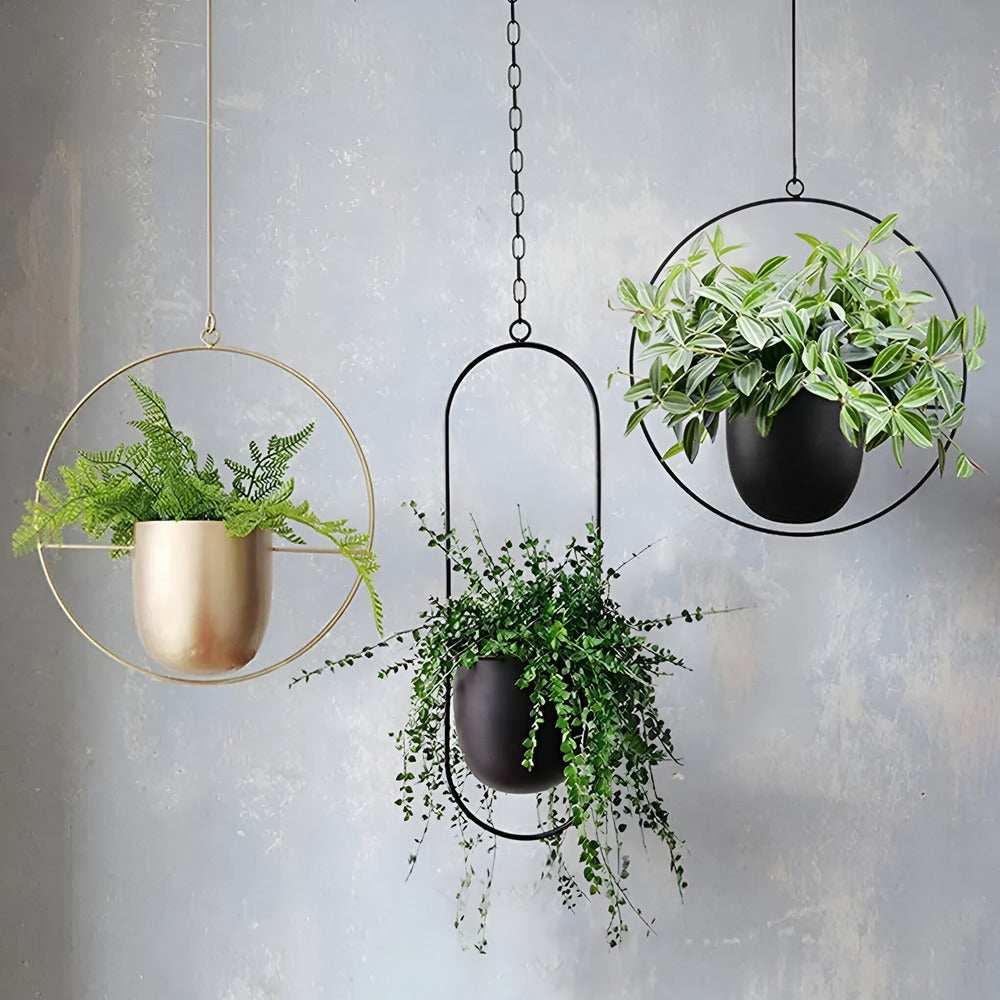 Caelessa - Macetero de pared elegante y estilizado para un interior moderno