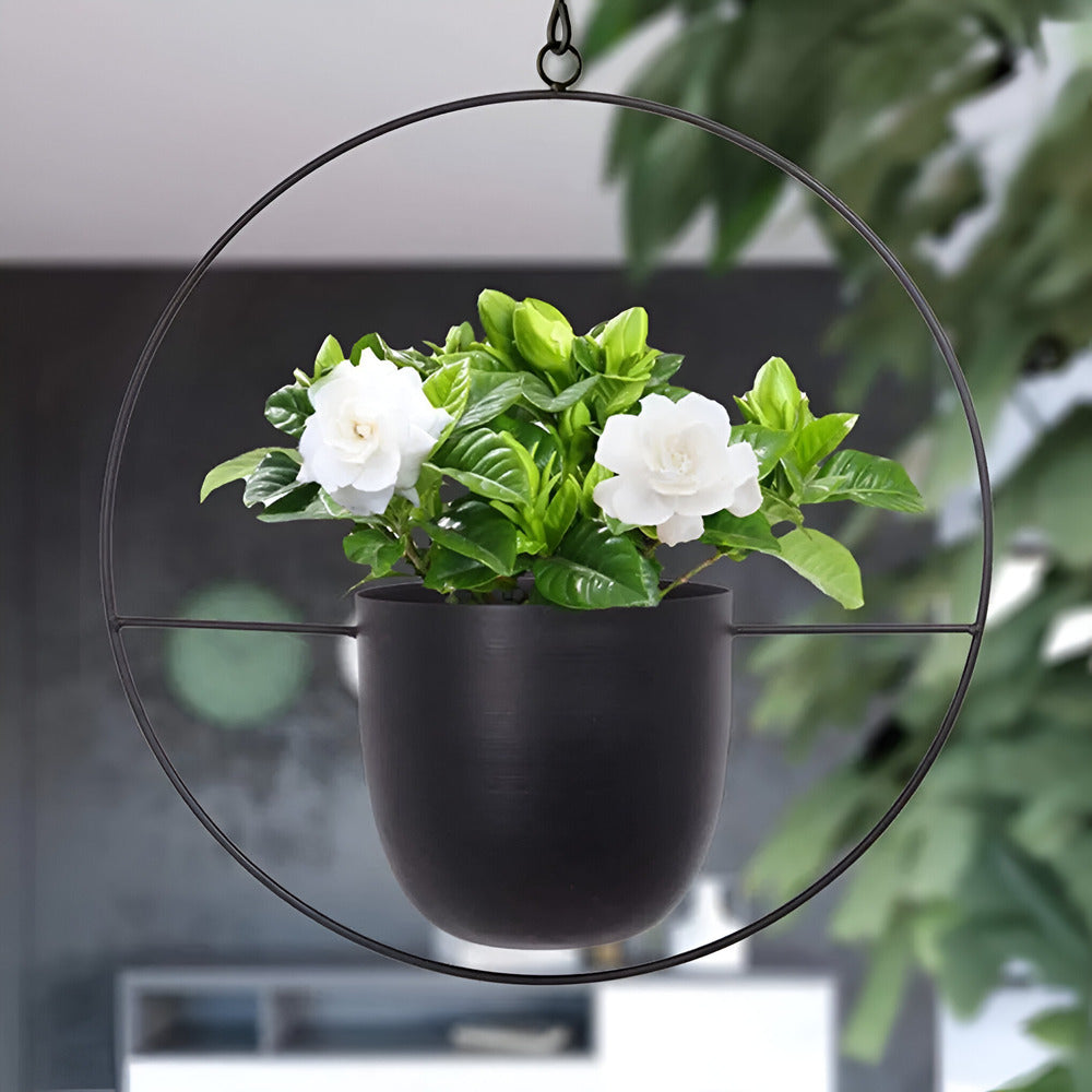 Caelessa - Macetero de pared elegante y estilizado para un interior moderno