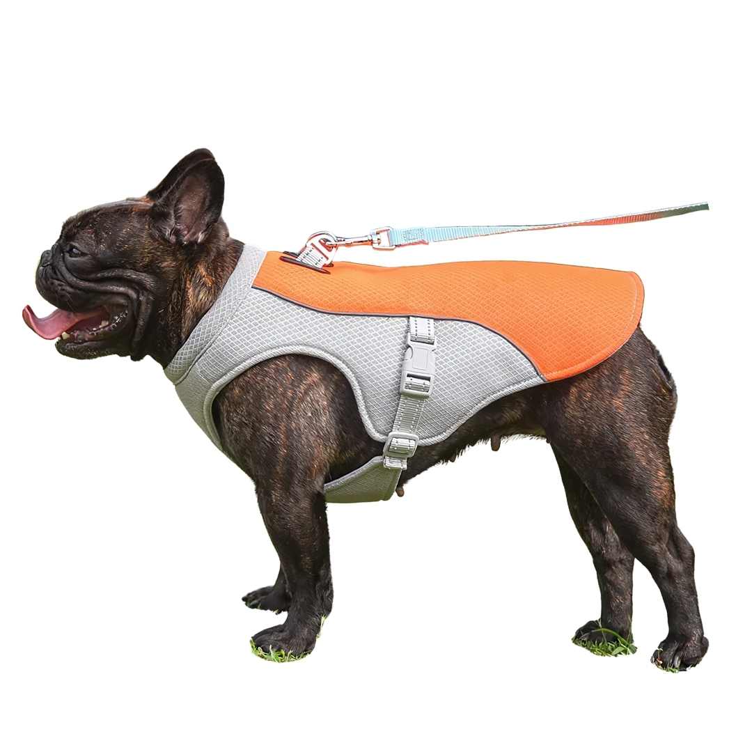 Protección refrescante contra el calor para perros durante el verano