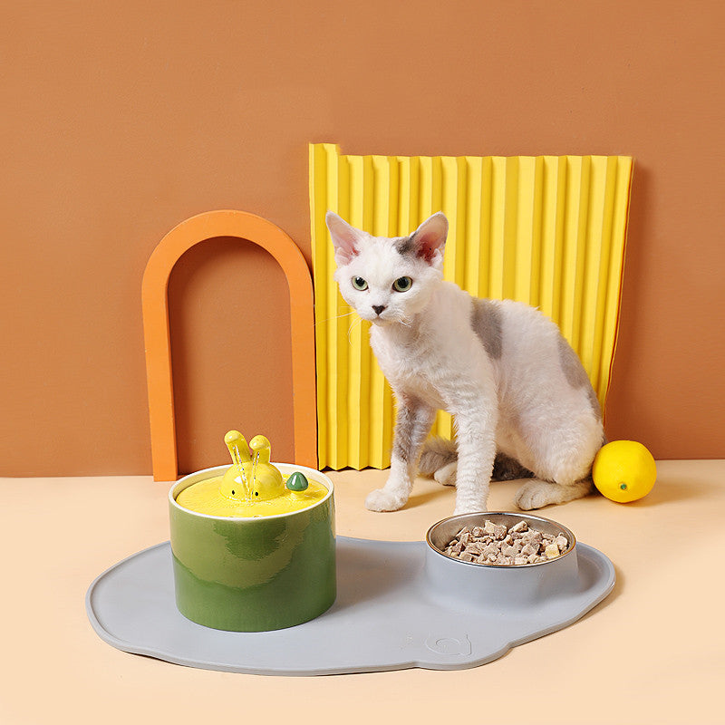 Dispensador de agua elegante para un conejo sano y feliz