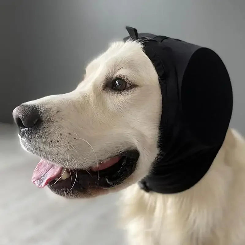 Protectores auditivos para perros