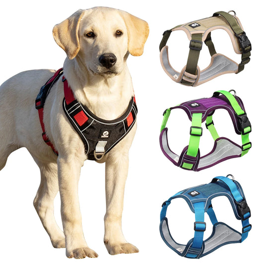 Arnés táctico para perros medianos y grandes - Comodidad y seguridad durante las aventuras