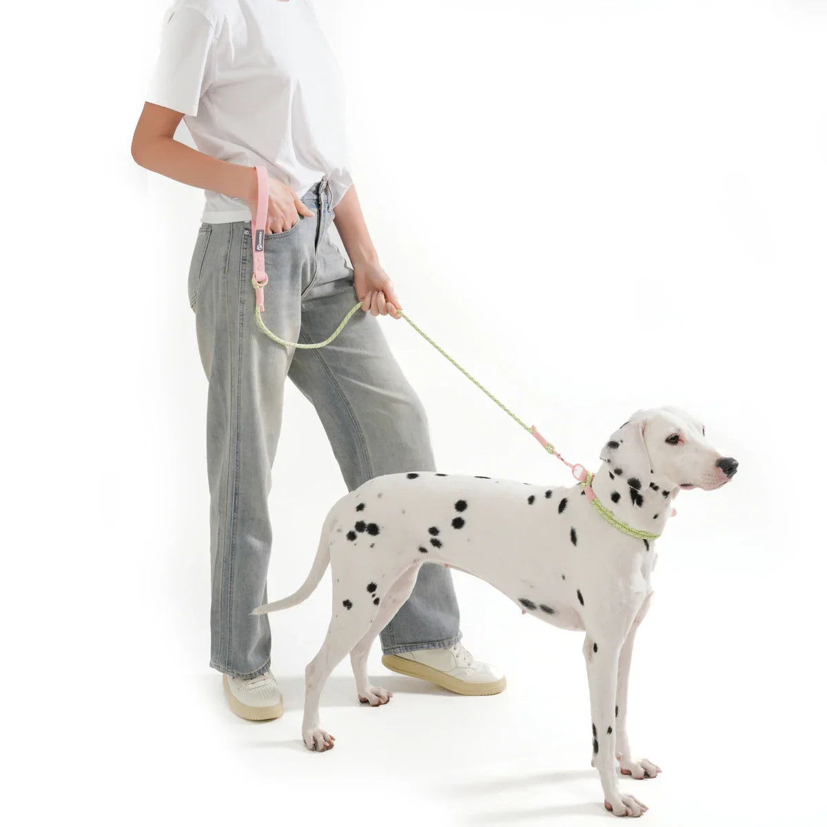 Correa para perro de nylon tejida a mano WebTrek Luxe para comodidad y durabilidad