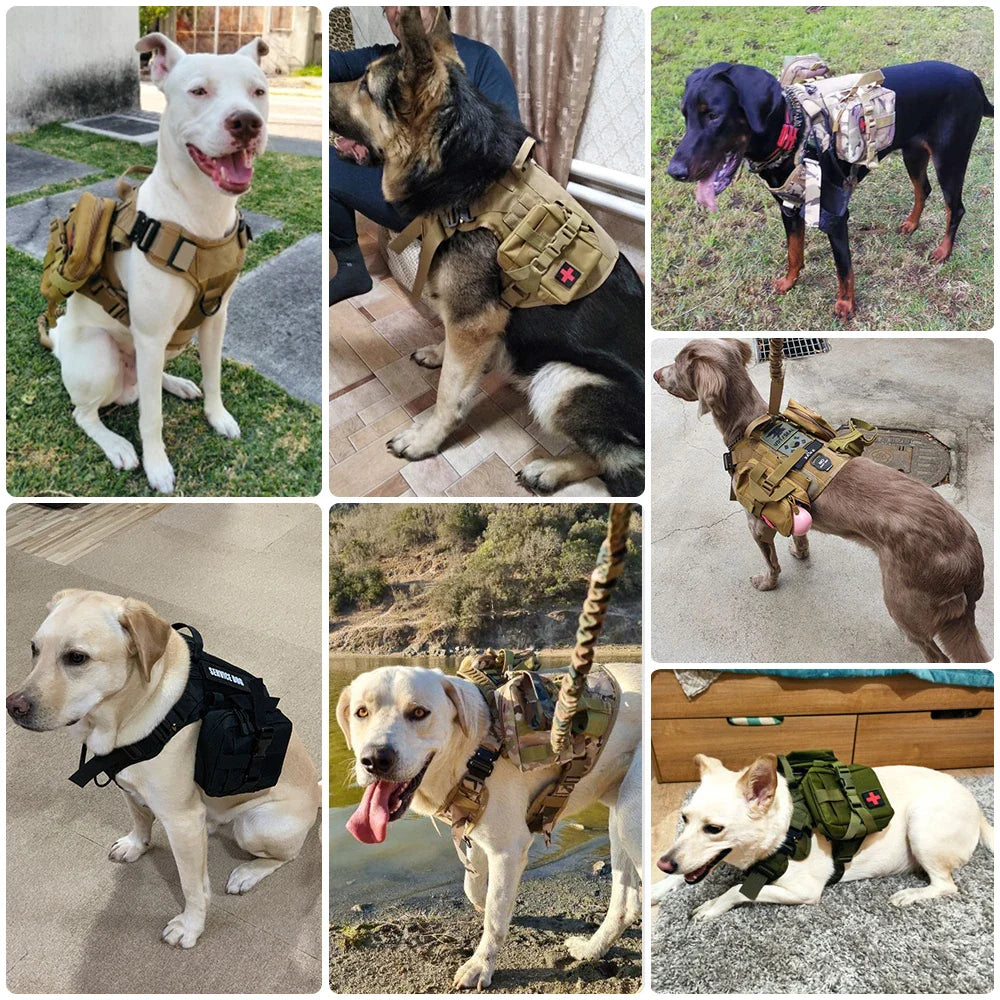 Arnés táctico cómodo para perros con correa para paseos seguros y con estilo