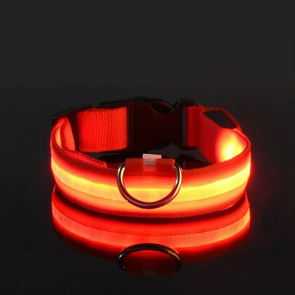 Collar para perro LED de lujo para máxima seguridad nocturna