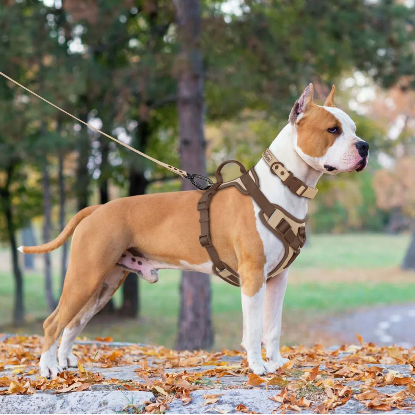 Arnés de perro ajustable Luxe para razas pequeñas y grandes