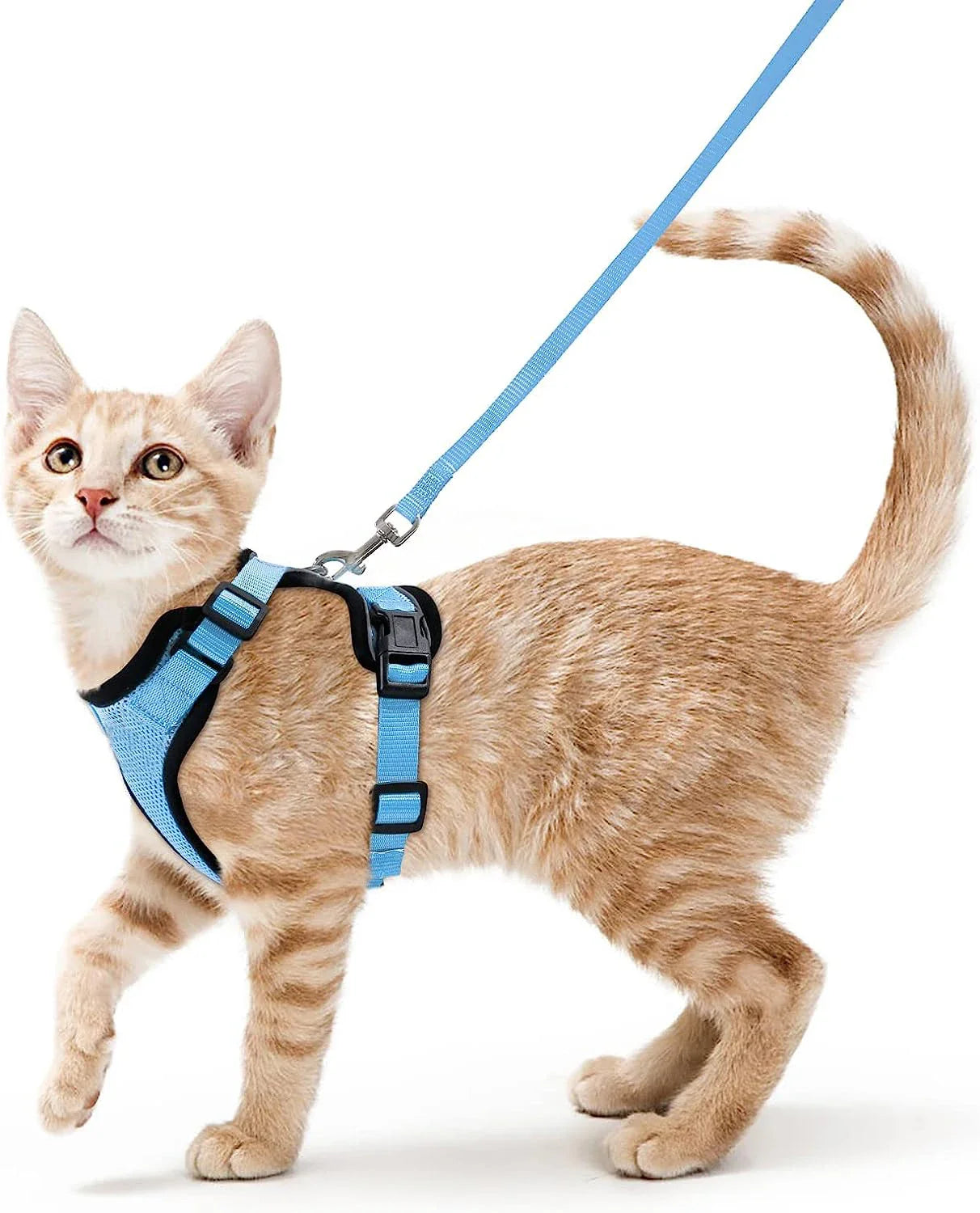 Arnés cómodo y seguro para caminar para gatos
