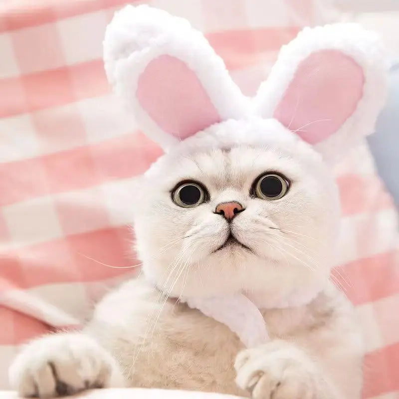 Gorro Acogedor de Invierno para Mascotas