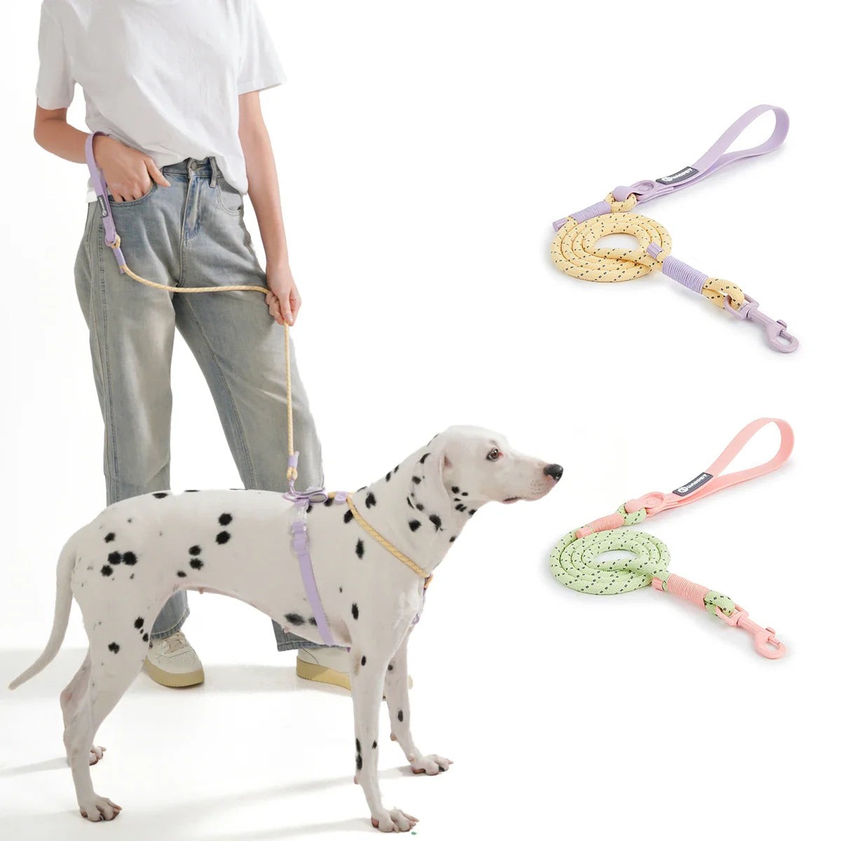 Correa para perro de nylon tejida a mano WebTrek Luxe para comodidad y durabilidad