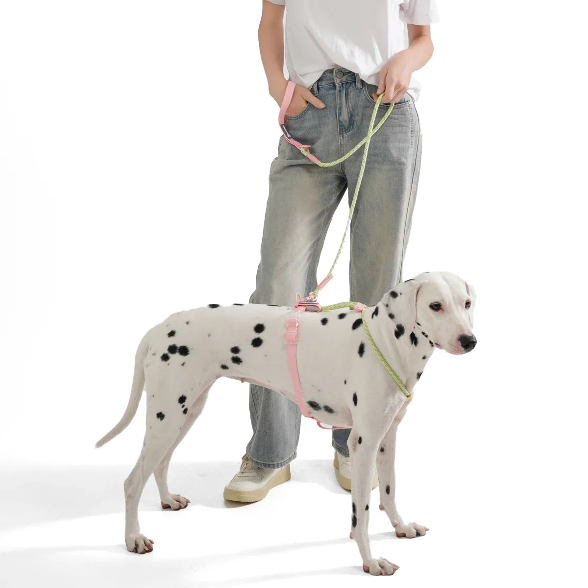 Correa para perro de nylon tejida a mano WebTrek Luxe para comodidad y durabilidad