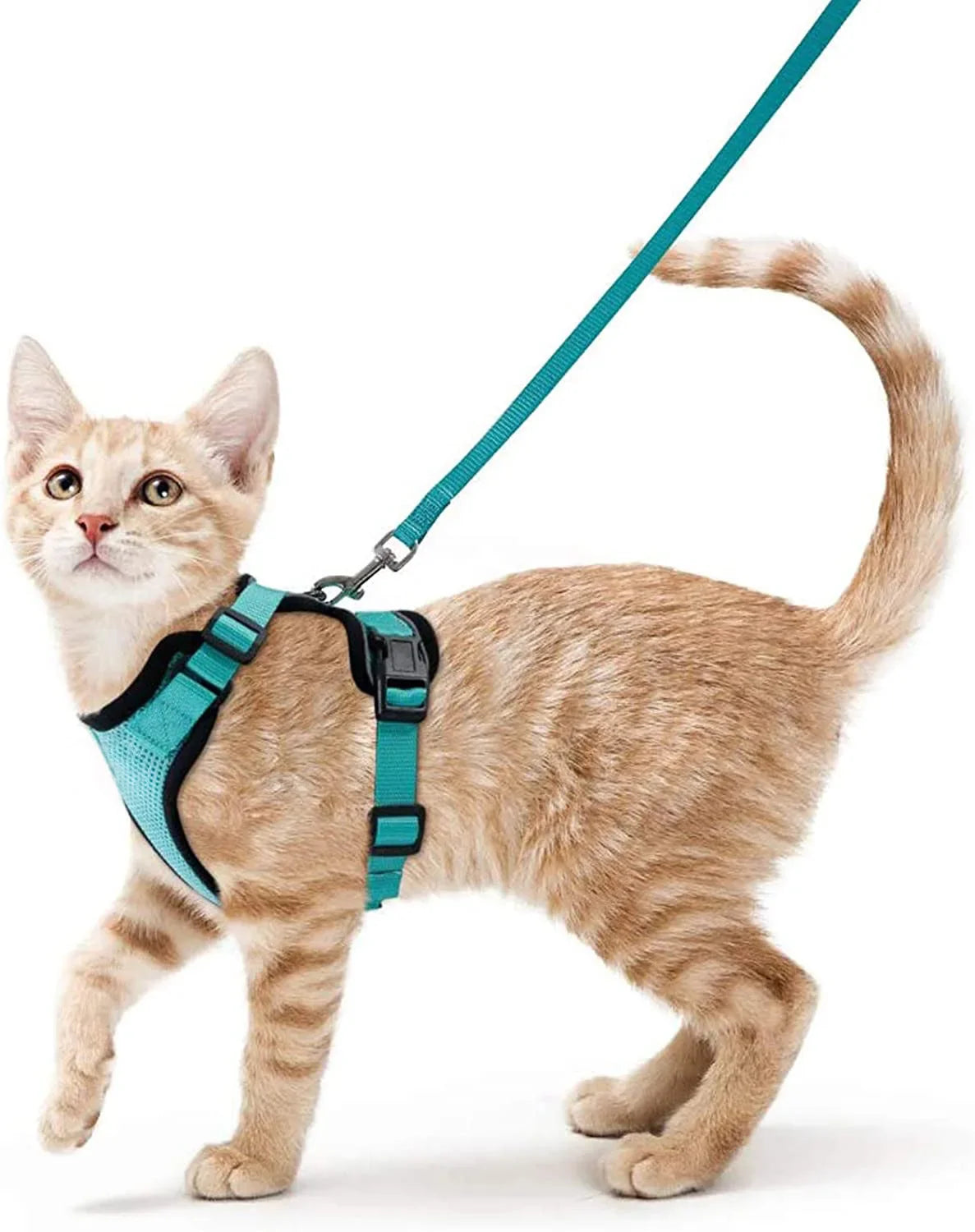 Arnés cómodo y seguro para caminar para gatos