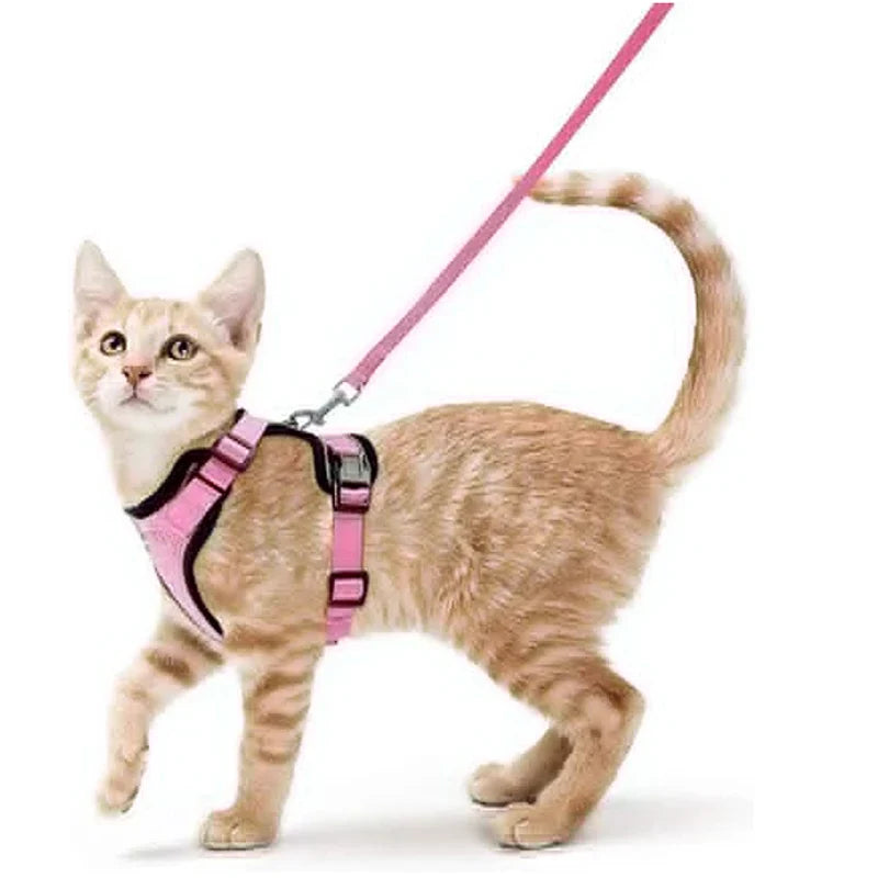 Arnés cómodo y seguro para caminar para gatos