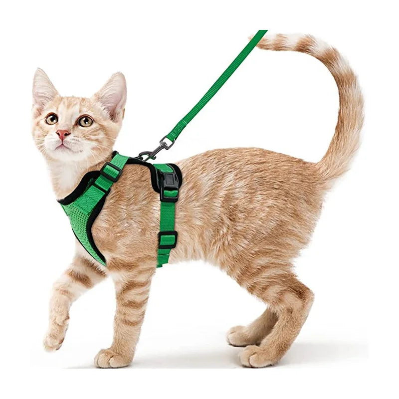 Arnés cómodo y seguro para caminar para gatos