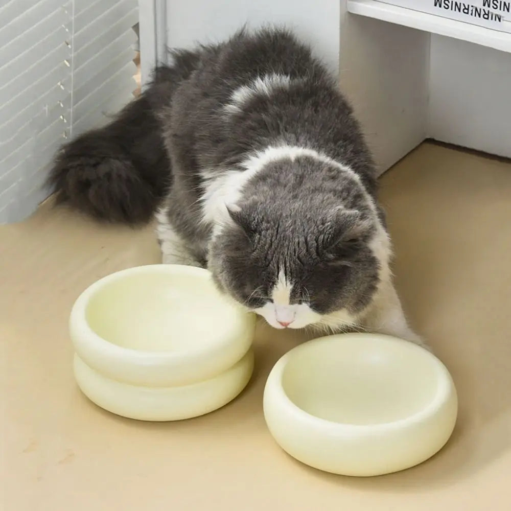 Cuenco de cerámica de lujo para mascotas para una experiencia de alimentación con estilo
