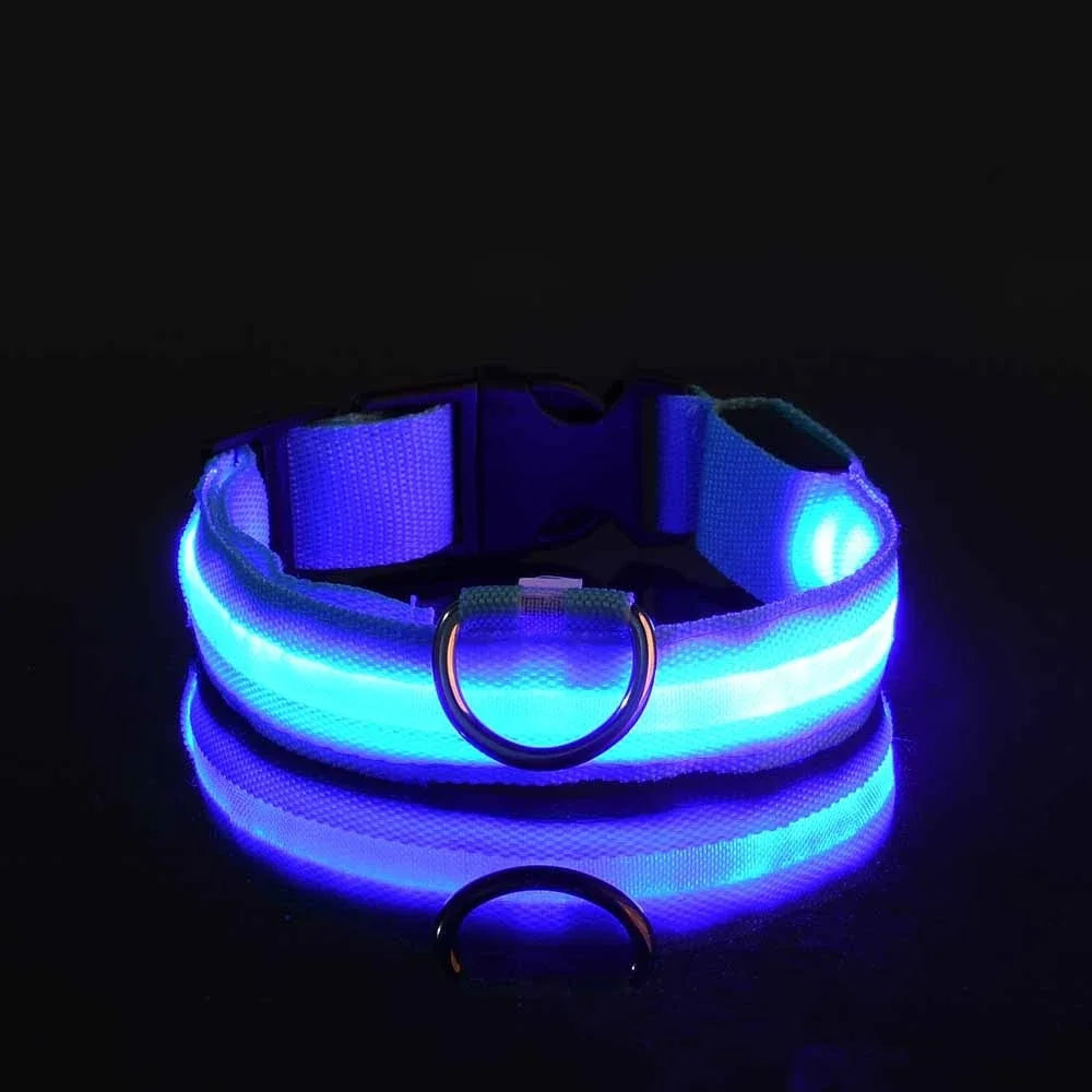 Collar para perro LED de lujo para máxima seguridad nocturna