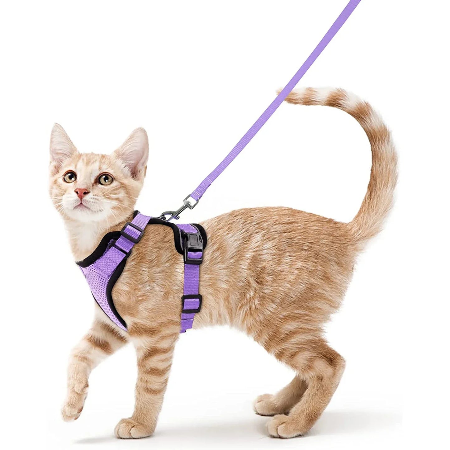 Arnés cómodo y seguro para caminar para gatos
