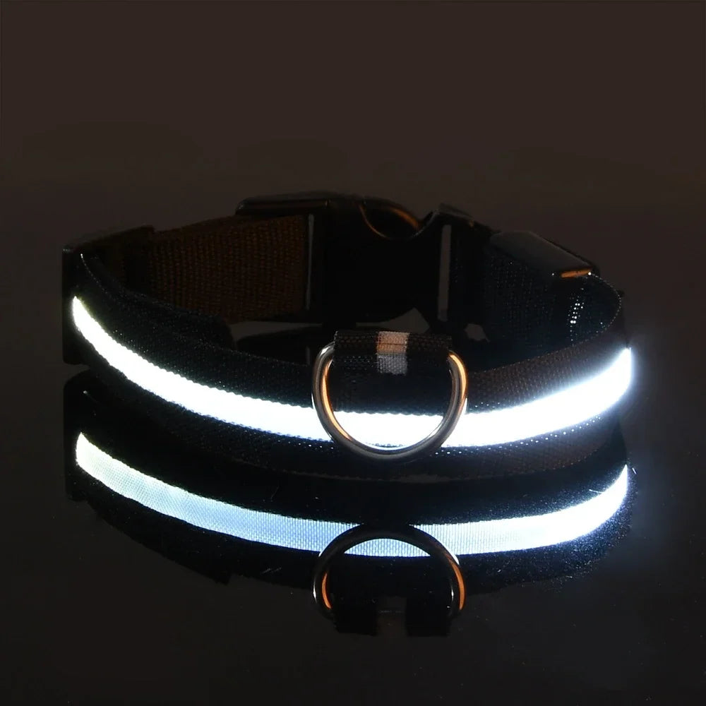 Collar para perro LED de lujo para máxima seguridad nocturna