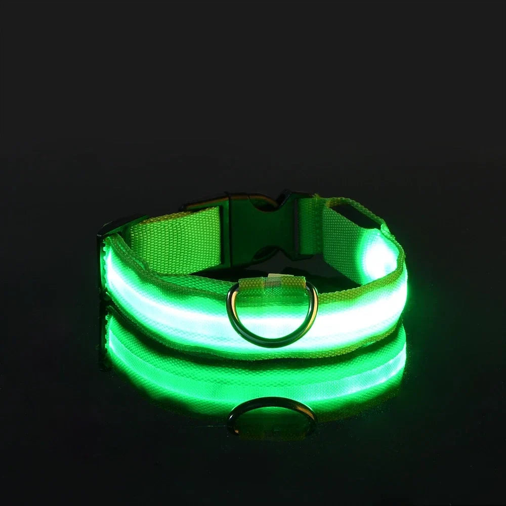 Collar para perro LED de lujo para máxima seguridad nocturna