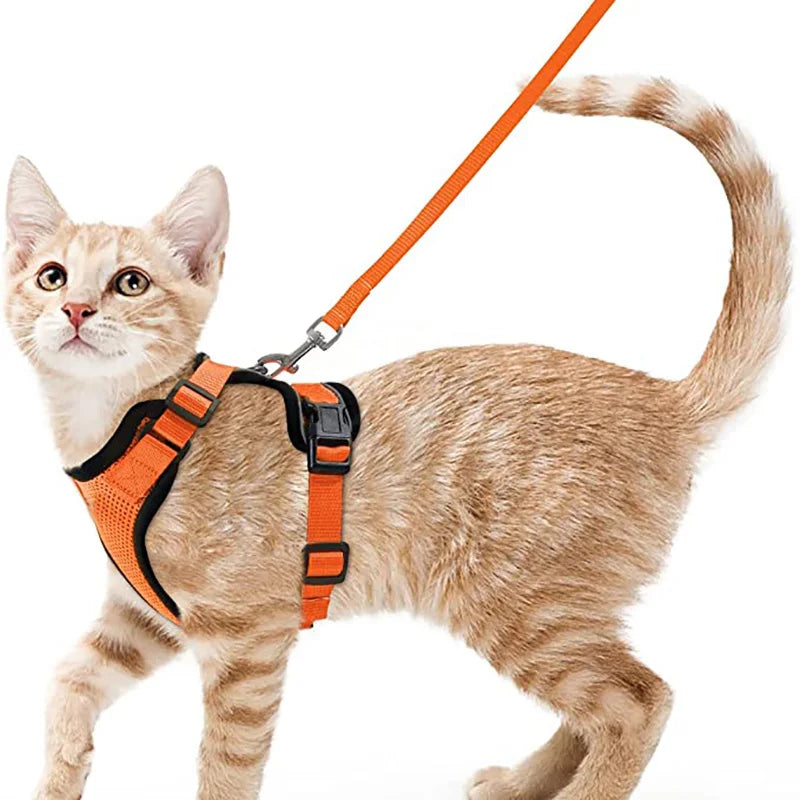Arnés cómodo y seguro para caminar para gatos