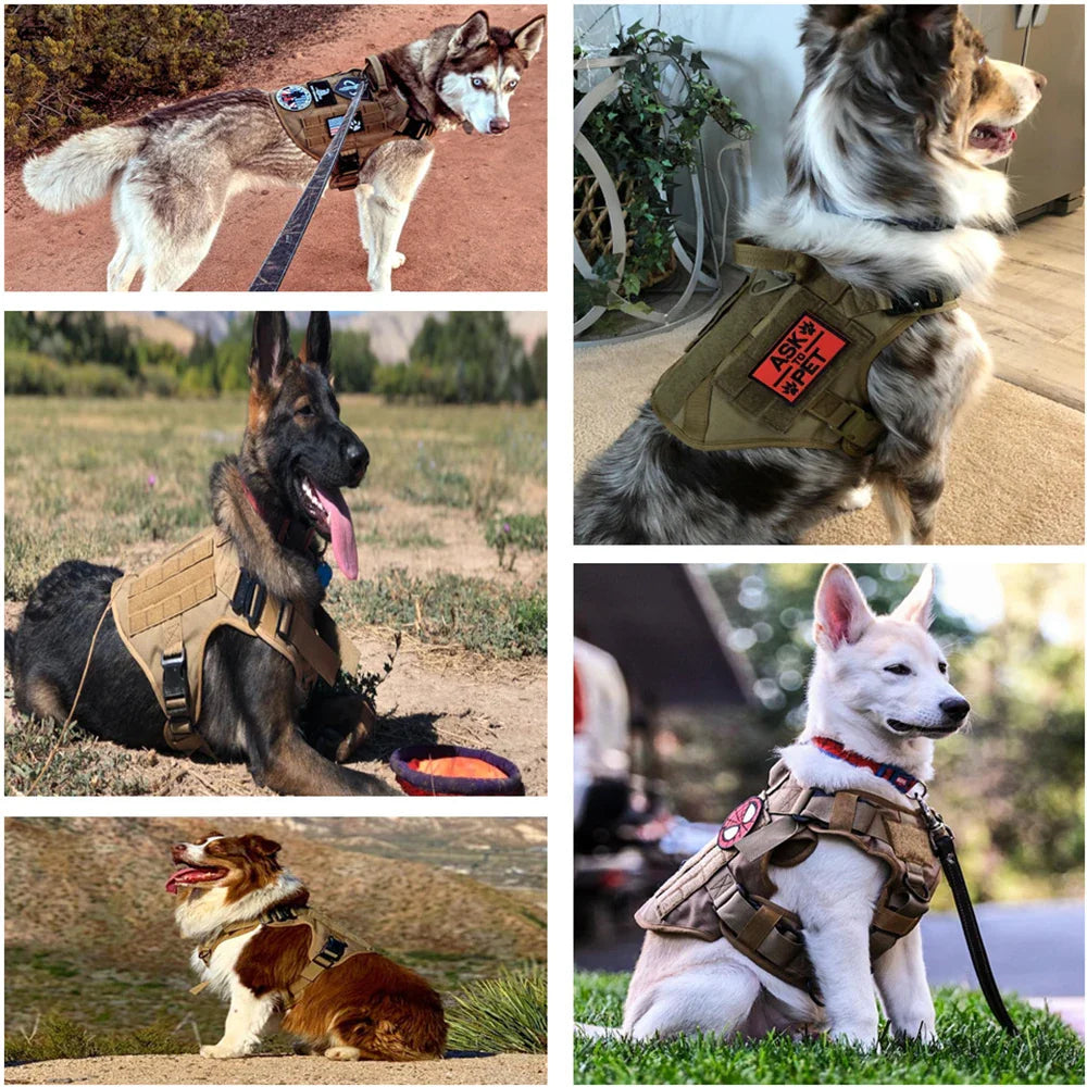 Arnés táctico cómodo para perros con correa para paseos seguros y con estilo