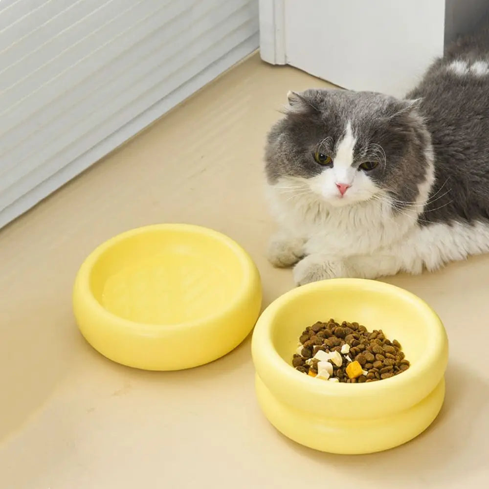 Cuenco de cerámica de lujo para mascotas para una experiencia de alimentación con estilo