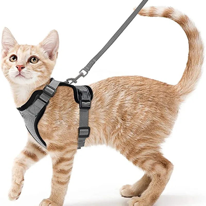 Arnés cómodo y seguro para caminar para gatos