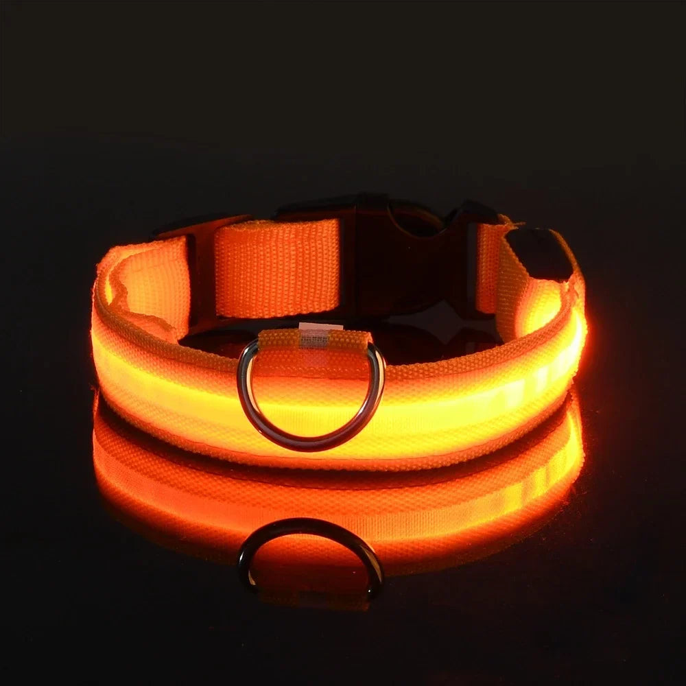 Collar para perro LED de lujo para máxima seguridad nocturna
