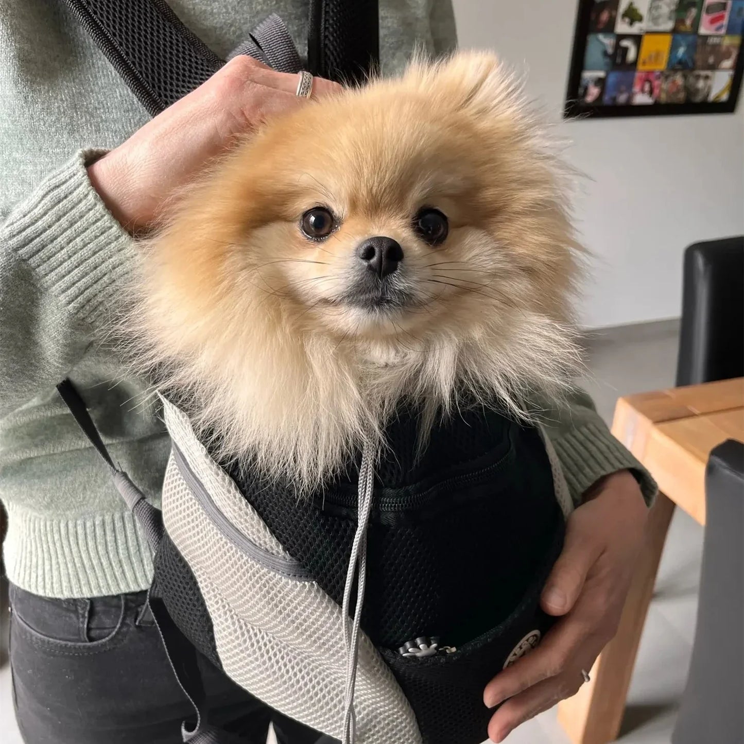 Mochila de lujo para mascotas al aire libre con malla transpirable Bolsa de viaje individual para mascotas