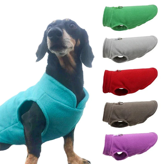 Abrigo cálido de lujo para perros pequeños - comodidad y protección en uno