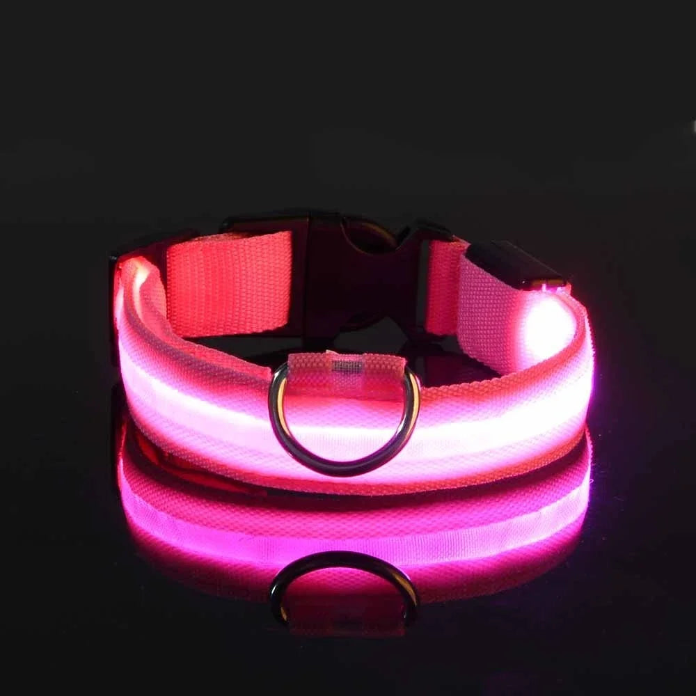 Collar para perro LED de lujo para máxima seguridad nocturna