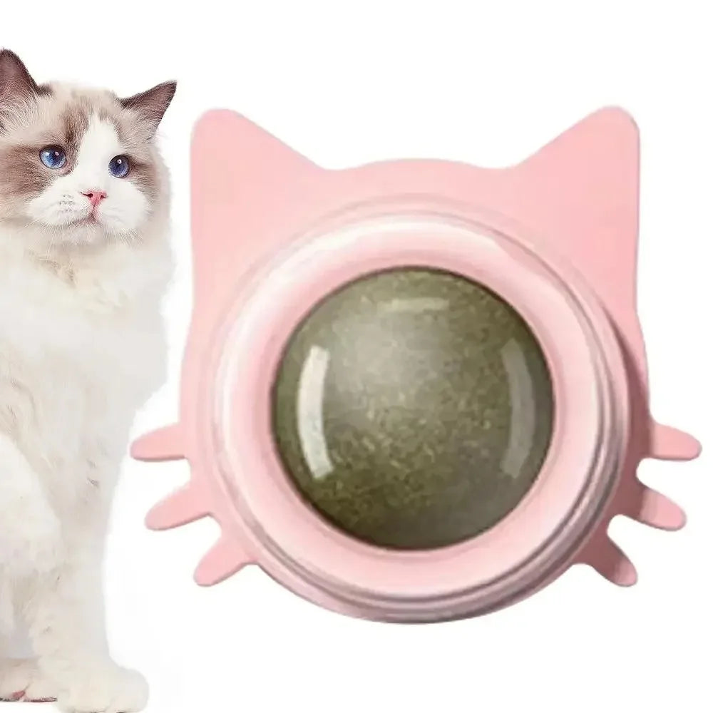 Pelota de juego para gatos para un estómago saludable y más alegría