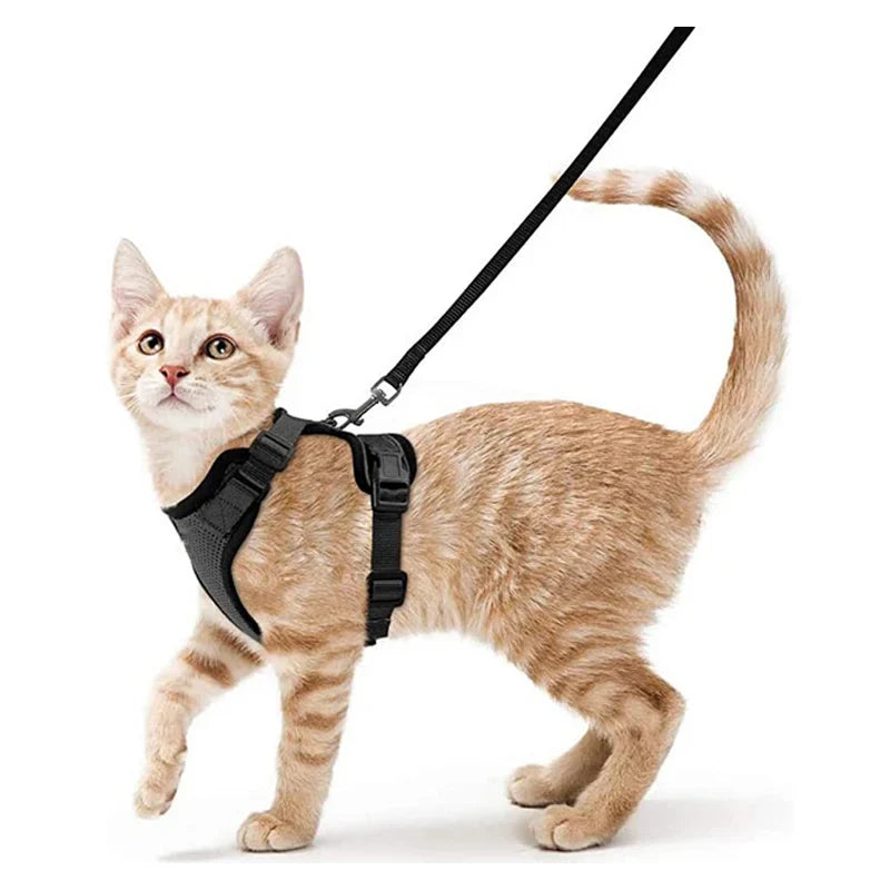 Arnés cómodo y seguro para caminar para gatos