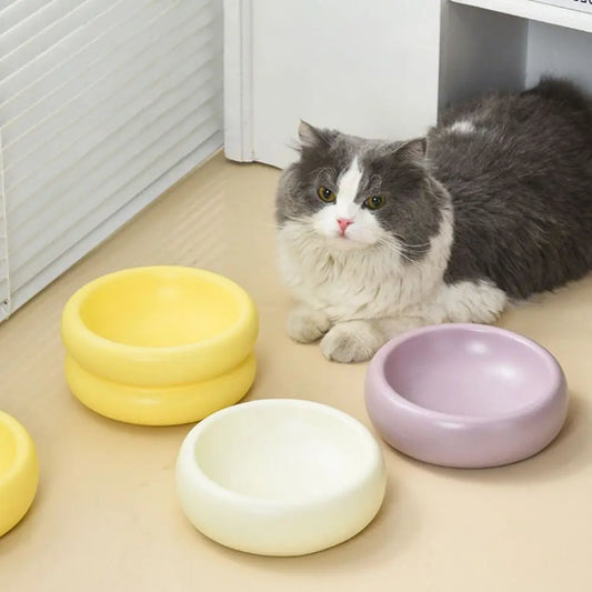 Cuenco de cerámica de lujo para mascotas para una experiencia de alimentación con estilo