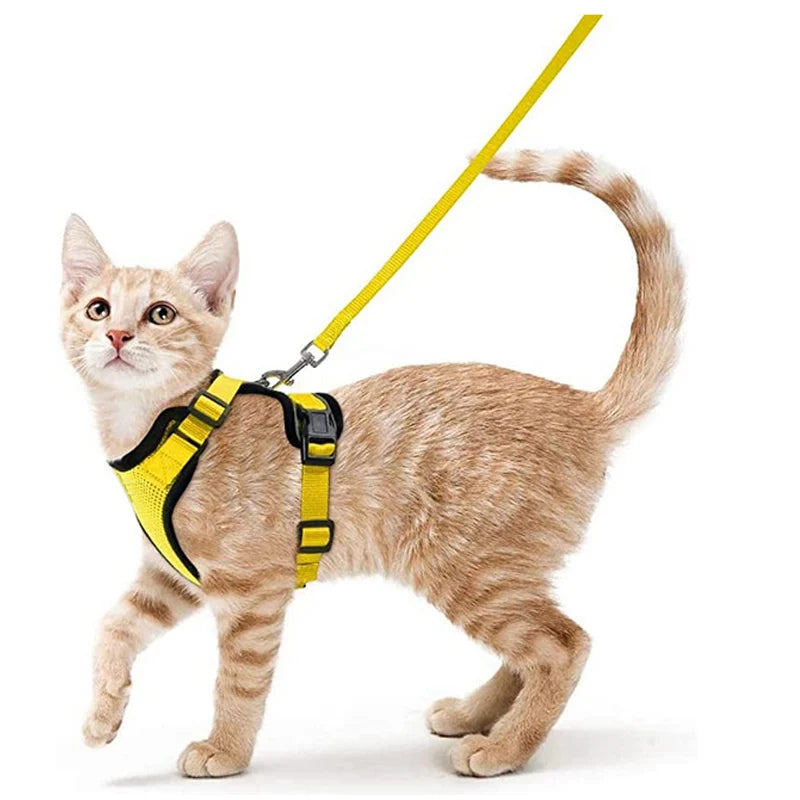 Arnés cómodo y seguro para caminar para gatos
