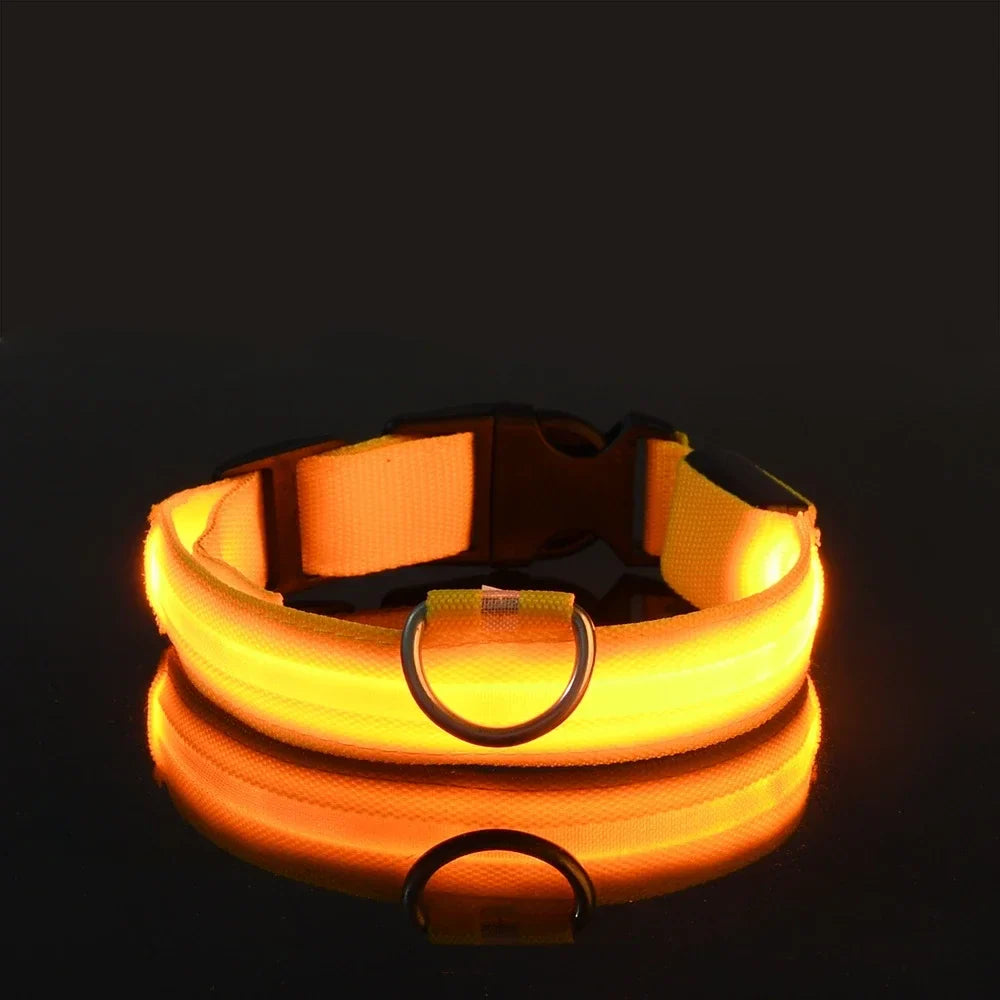 Collar para perro LED de lujo para máxima seguridad nocturna