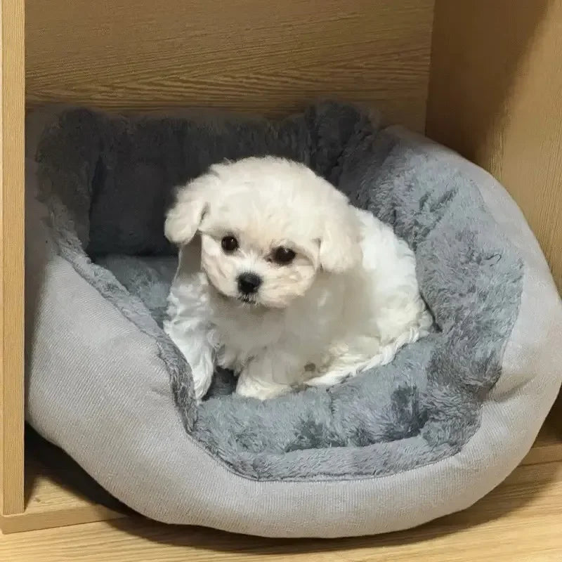 Cama cómoda y cálida para perros y gatos