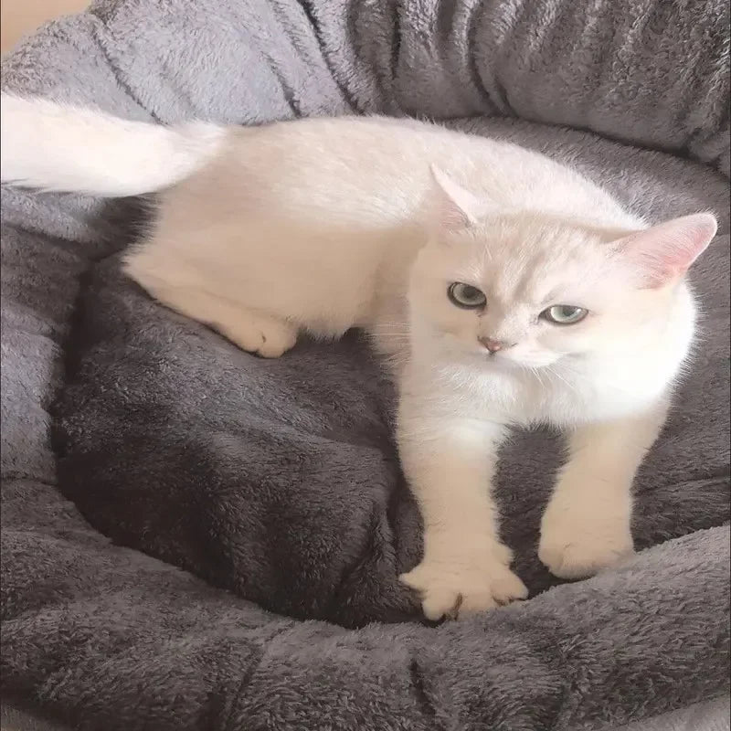 Cama cómoda y cálida para perros y gatos