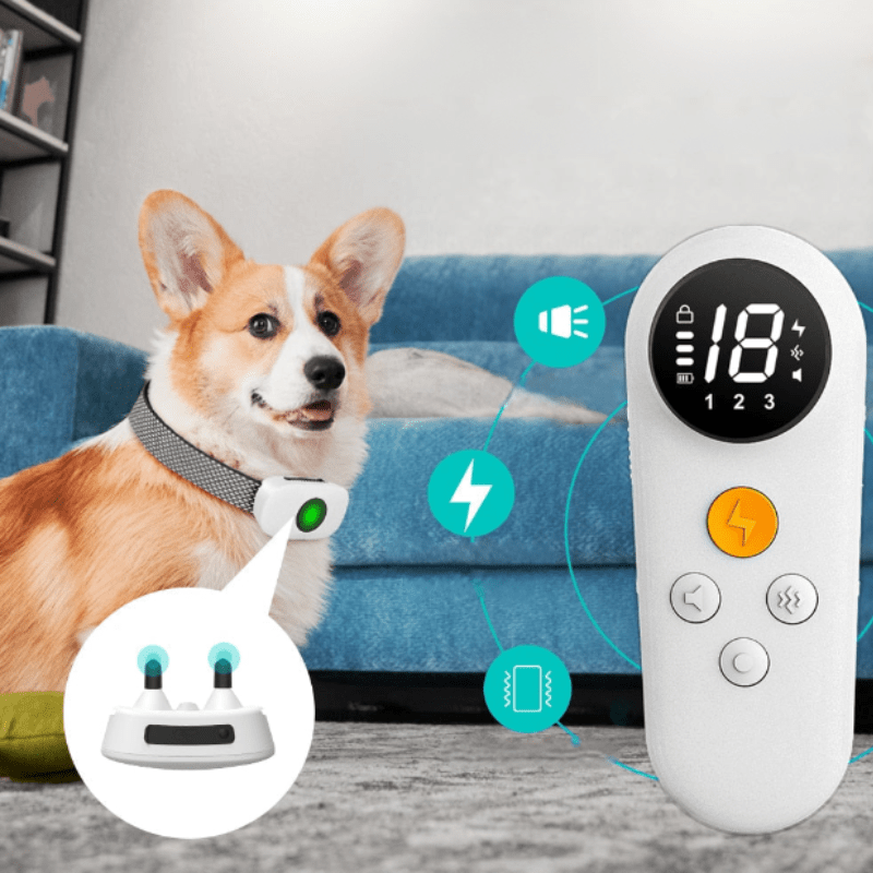 Dispositivo definitivo anti-ladridos para la paz en el hogar