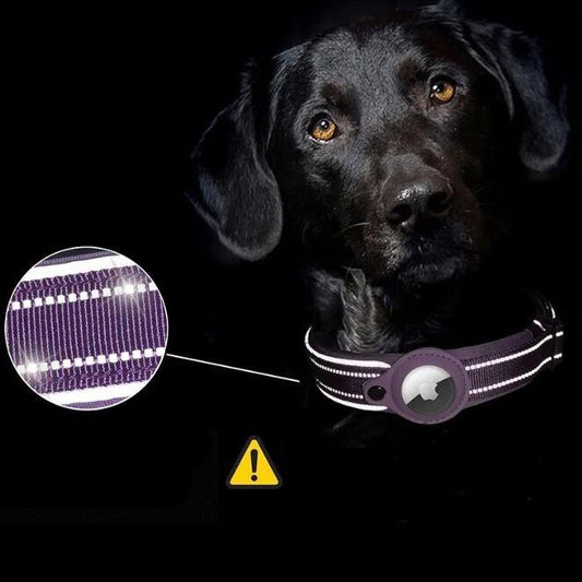 Collar para mascotas ultra seguro y cómodo para protección máxima
