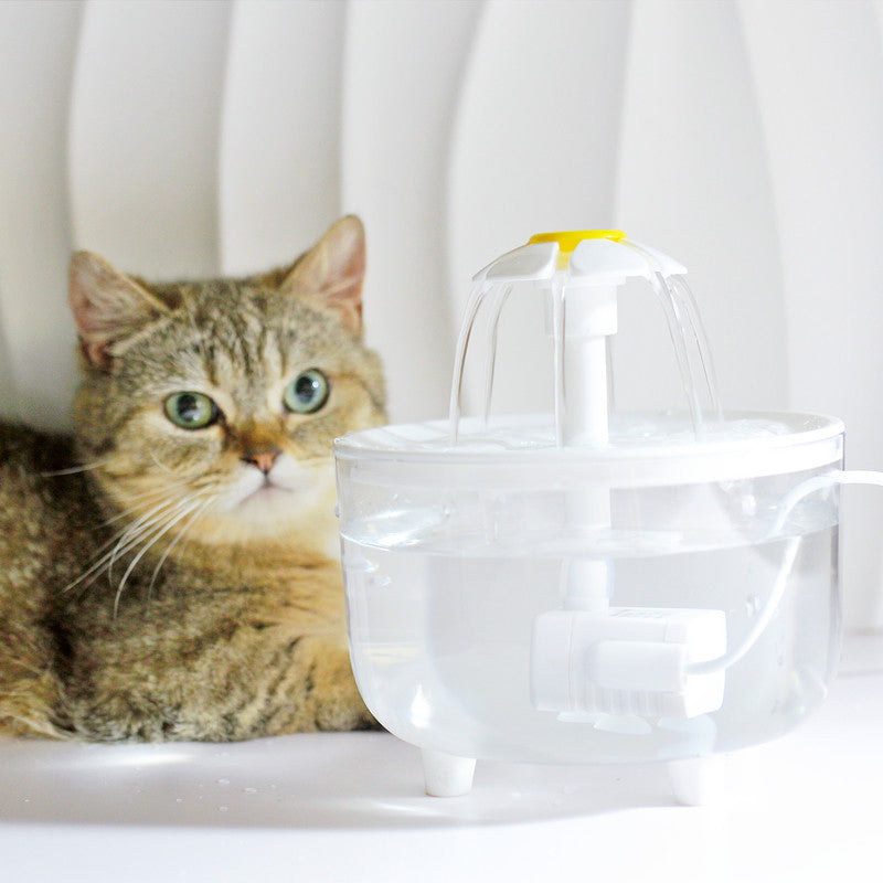Asegure un flujo eterno de agua fresca y limpia para su gato